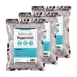 (3 pack) estheSKIN No.111 Peppermint (Cooling) Modeling Rubber Mask for for Facial Treatment, 35 Oz